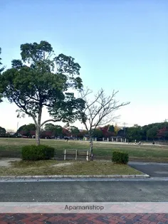 ホワイトシャトー大橋参番館【4階】の周辺