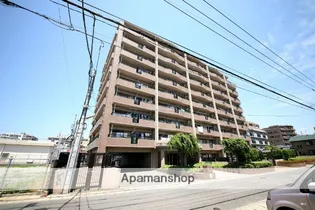 パラシオ荒江【3階】の外観