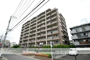 パラシオ荒江【3階】の外観