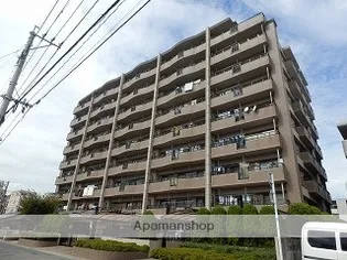 パラシオ荒江【3階】の外観