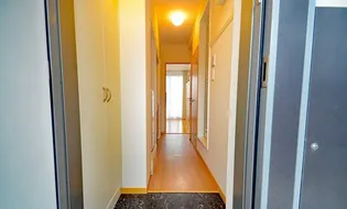 レオパレス大幸【4階】の玄関