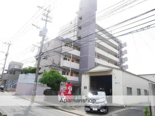 ドリーム アイの画像