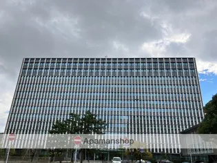 ザ・パークハウス桜坂サンリヤン【19階】の周辺