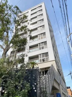 ベイシック薬院【4階】の外観