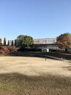 メゾン パルク【3階】の周辺