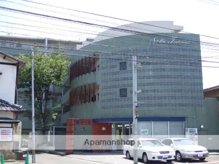 ステラ堤の画像