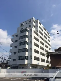 アペゼミマナの画像