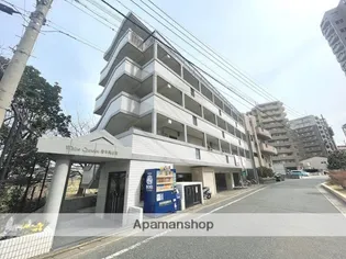 ホワイトシャトー清水弐番館【2階】の外観