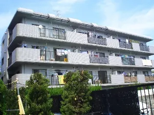 フレグランスMASUMI【2階】の外観