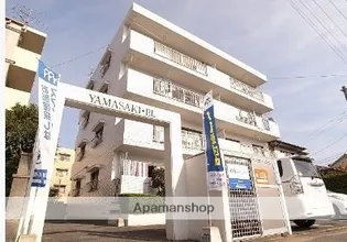 ヤマサキビルの画像