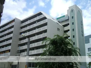 メゾン住吉【9階】の外観