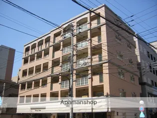 ビバリーロデオの画像