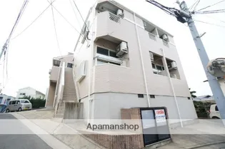 オーキッドの画像