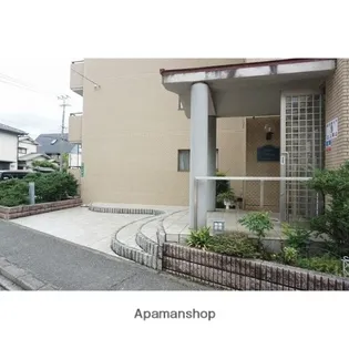 プレシャスコーラルの画像