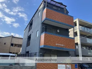 パウリスターの画像