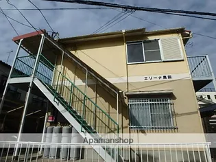 エリーナ鳥飼の画像