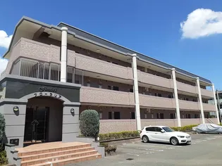 フローラリアの画像