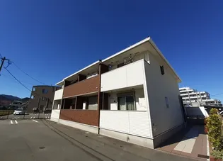 サウス バイオレットの画像