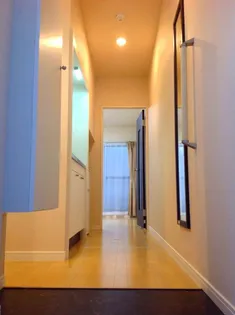 レオネクストジーシン【3階】の玄関