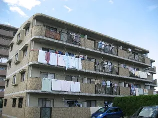 プラムハイツ1の画像