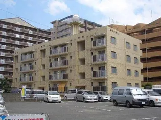 メゾン川上の画像