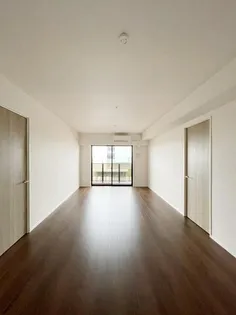 RJRプレシア天神サウス【15階】の内装