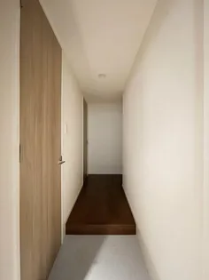 RJRプレシア天神サウス【15階】の玄関