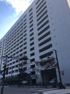 シャーメゾン六本松南【4階】の周辺