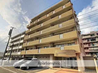 クイーン メリーの画像