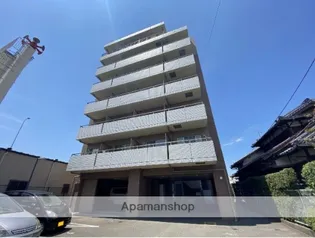 アマルフィいずみの画像