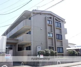 イリス花がすみの画像