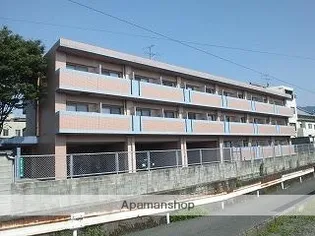 パームツリー野芥の画像