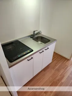 サヴォイザ・セントラルガーデン【5階】のキッチン