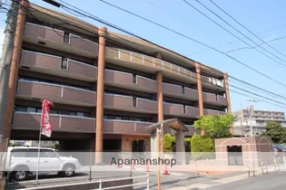 シャルドーネ石丸の画像