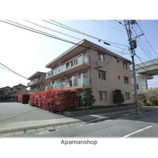 ステラKSKの画像