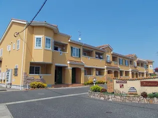 アリストクラット Bの画像