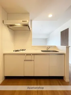 RJRプレシア天神サウス【8階】のキッチン