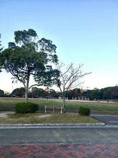 メゾン パルク 清水【3階】の周辺