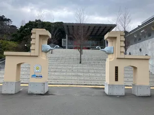 シャーメゾン六本松南【1階】の周辺