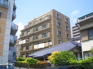 ルシオール藤崎の画像