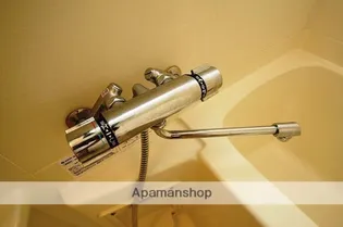 レジデンス住吉【8階】の内装