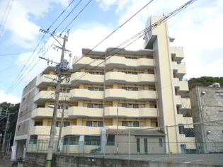 ハックベリー平和の画像