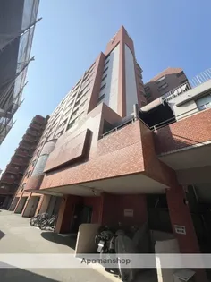 ロマネスク大名の画像