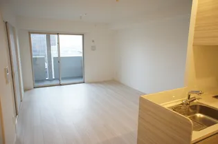 エグゼ博多コンドミニアム【11階】の居間