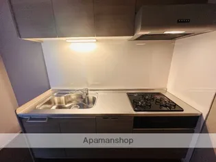 MODERN ASPIRATION 大濠公園【6階】のキッチン