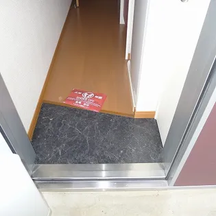 レオパレスヴィラ柏の森【1階】の玄関