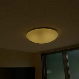 レオネクストラーラⅡ【1階】のその他画像