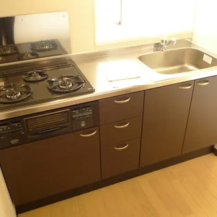 レオネクストラーラⅡ【1階】のキッチン