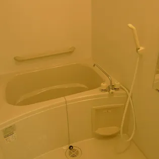 レオネクストラーラⅡ【1階】の風呂