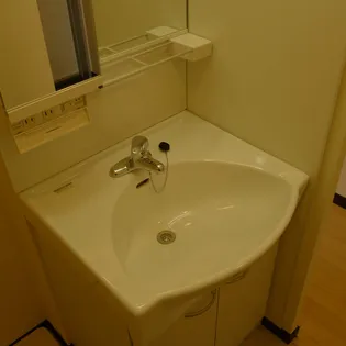 レオネクストラーラⅡ【1階】のその他画像